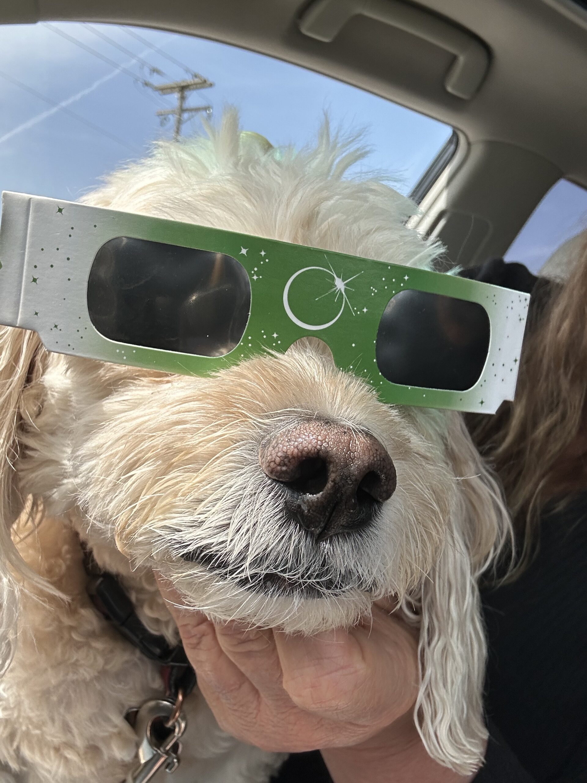 One-liners and short bits – 2017